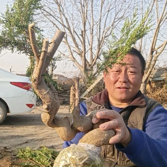 文***秋无花朵好好好好好好