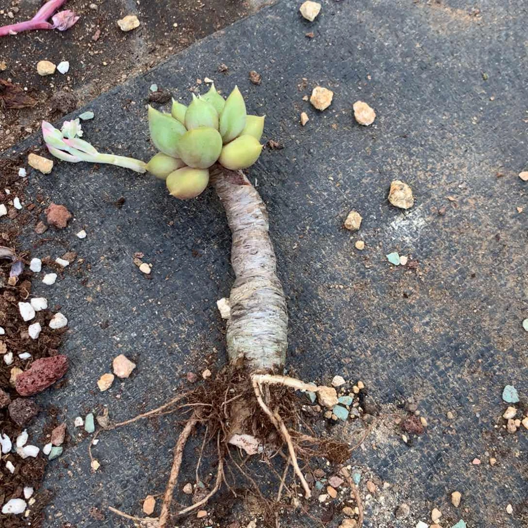 你要好好休息噢勒话