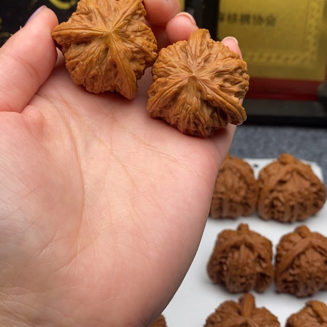 徐*白狮子11111111个