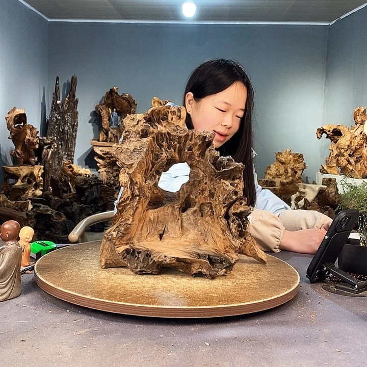 茶盏海**范437株木的随行的根艺