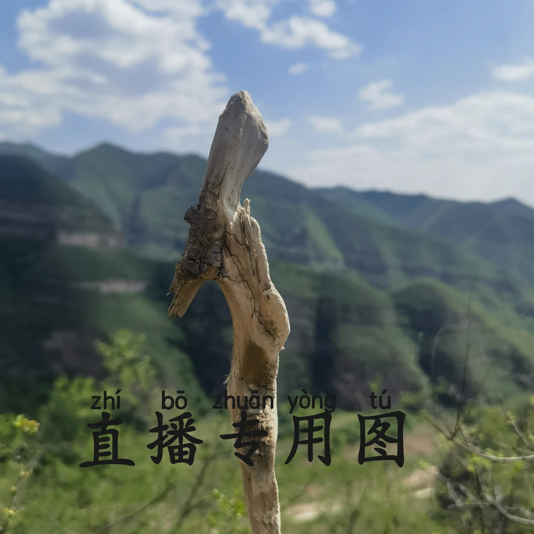 太行崖柏陈化料造型摆件   雕刻  熏香