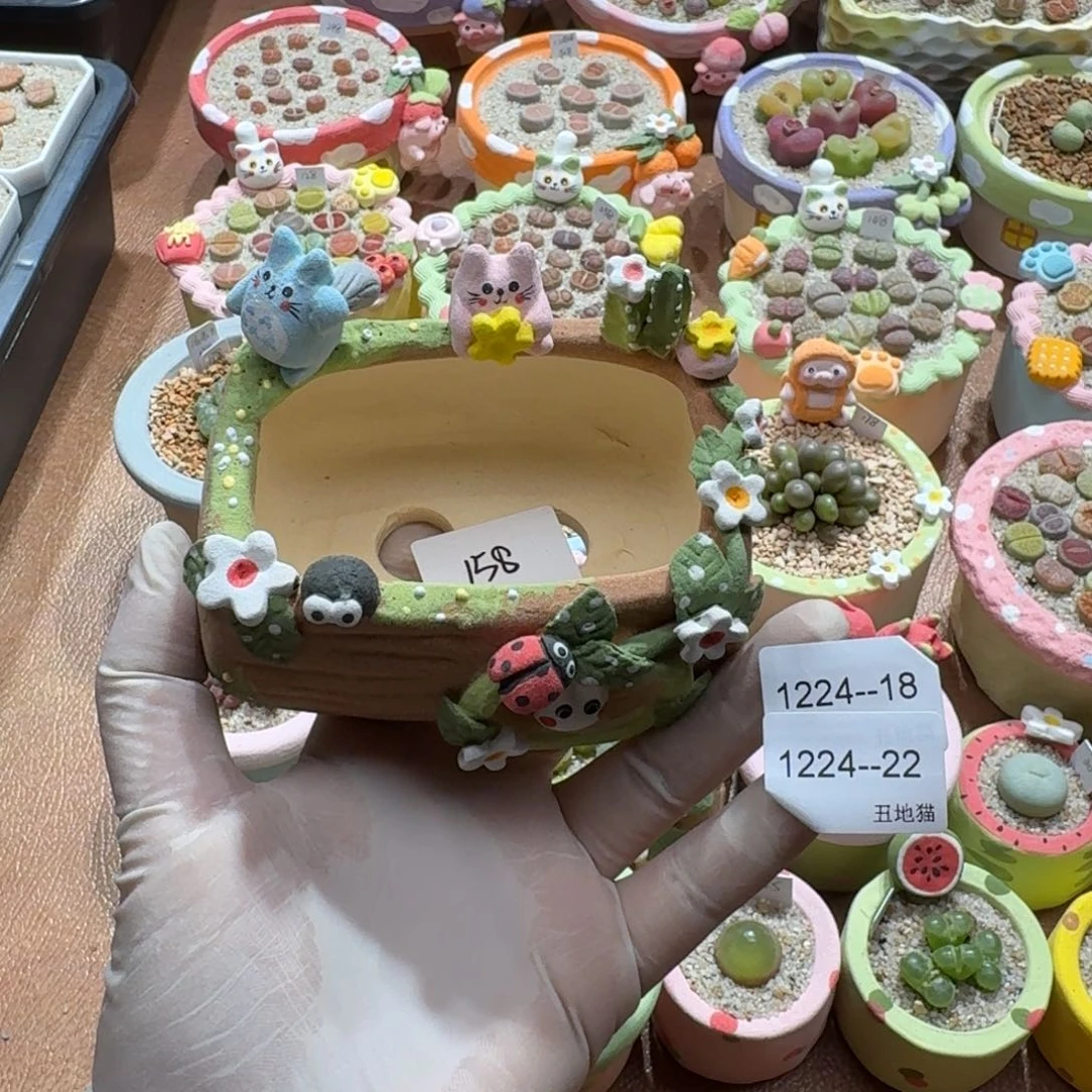 颜***.1224-022盆盆盆盆盆p