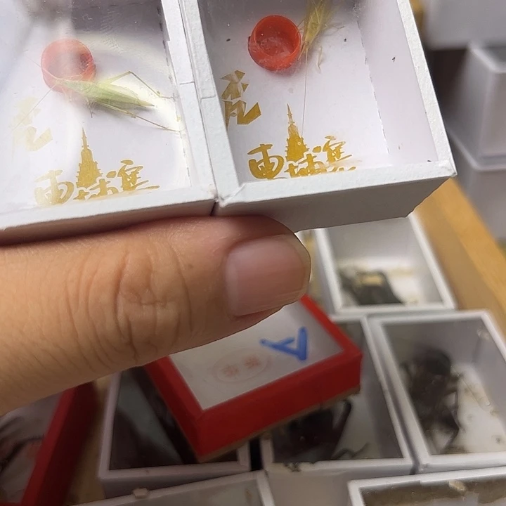 哈哈哈哈哈哈哈哈哈哈哈