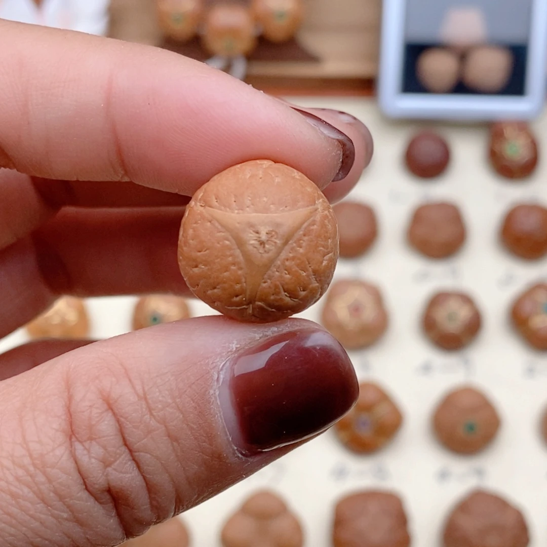 龙眼菩提吊坠Z****?龙眼