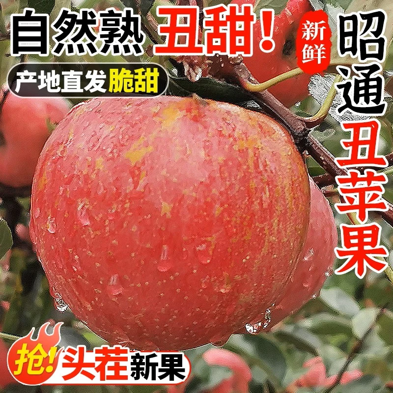 2025当季新鲜水果脆甜多汁正宗云南昭通丑苹果冰糖心红露苹果