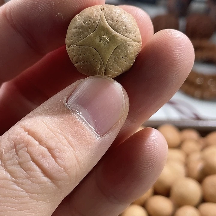 凤眼菩提手串尼泊尔小fy