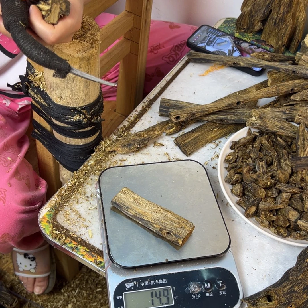 线香奇楠虫漏香14克