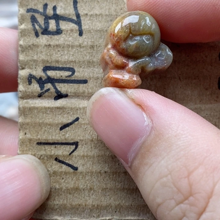 硅化珊瑚（珊瑚玉）未镶嵌颈饰?****?