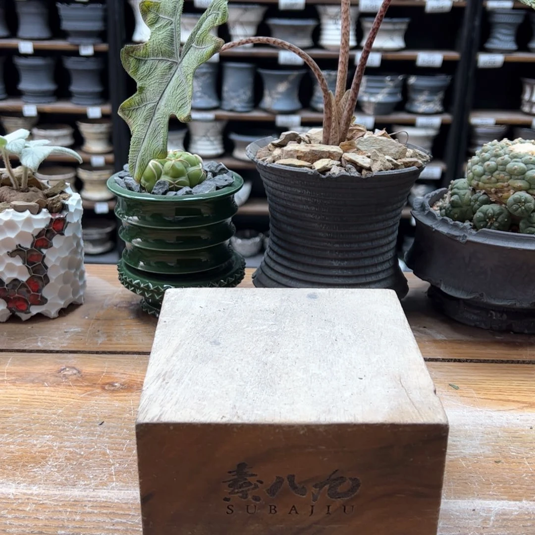 素八九陶瓷内补差小****7