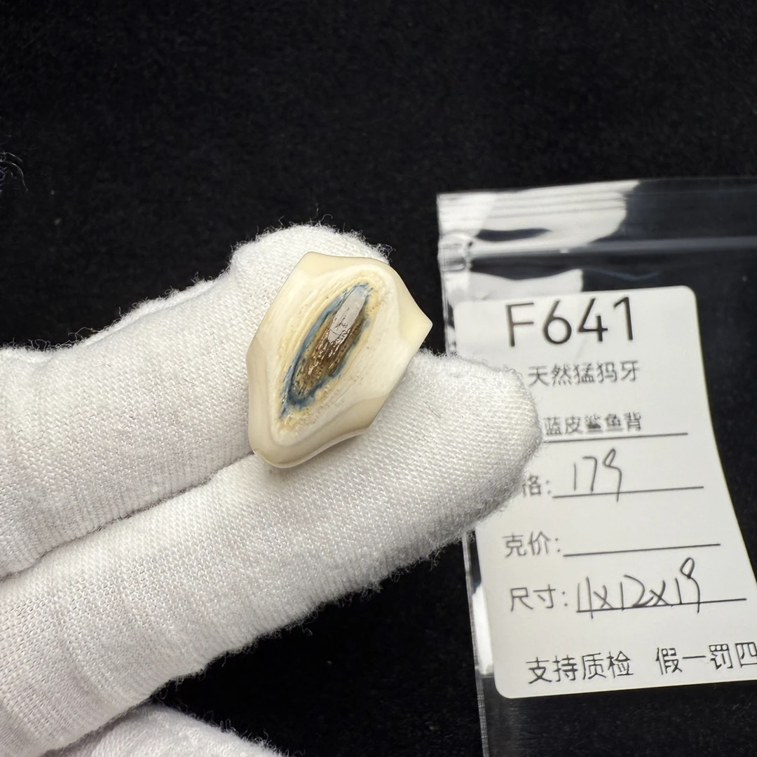 F641天然猛犸象牙蓝眼蓝皮鲨鱼背蓝眼睛三通冰料11*12*19mm