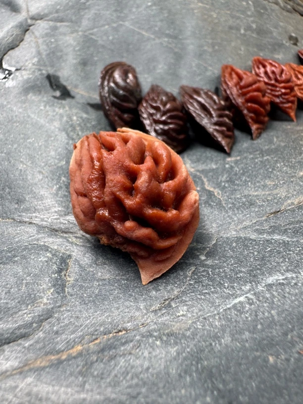 深山野生毛桃迷你桃枭限量版（售出后不退不换慎重下单）