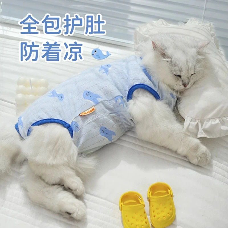 猫咪衣服防掉毛夏季薄款的布偶猫小猫宠物幼猫断奶猫猫夏天护肚衣