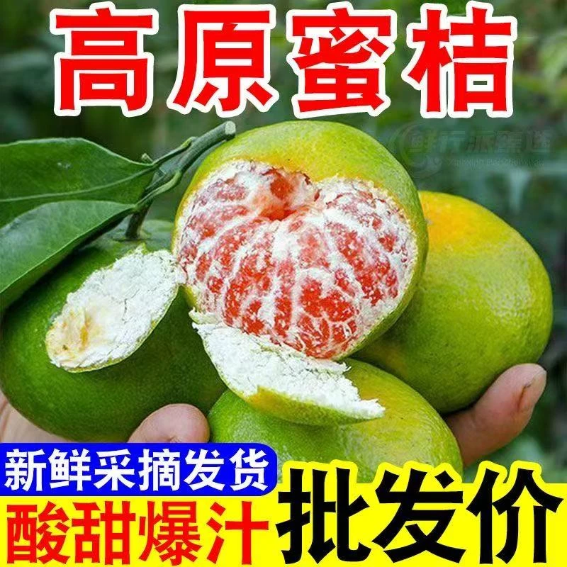 正宗武当山青皮无籽蜜橘当季新鲜水果酸甜多汁适合孕妇