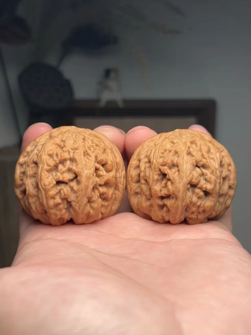 文玩核桃 43 尺大粗筋 矮桩 球筋