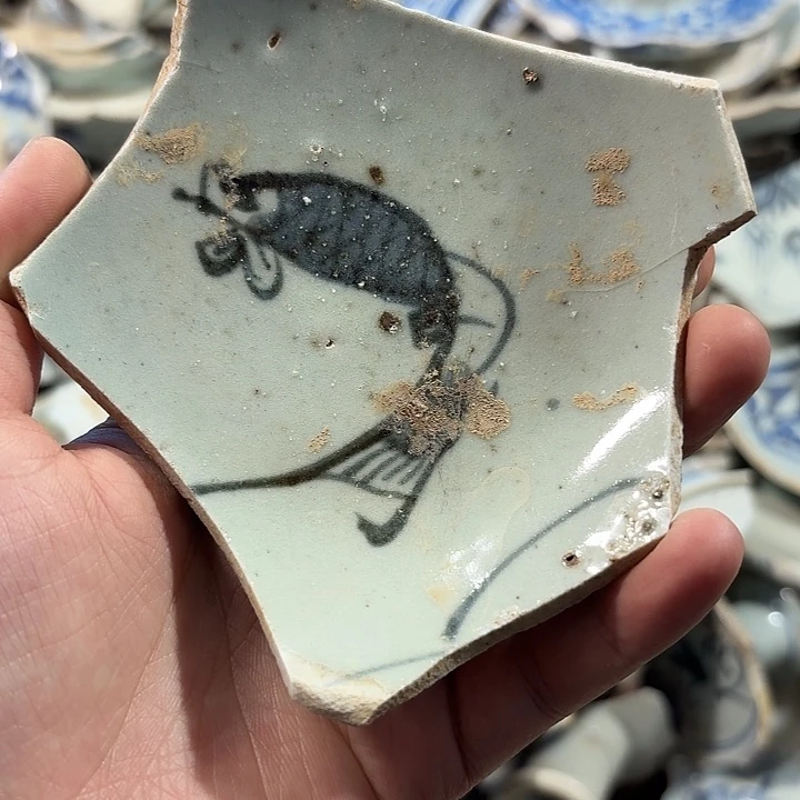 瓷片瓷片标本，顺丰包邮