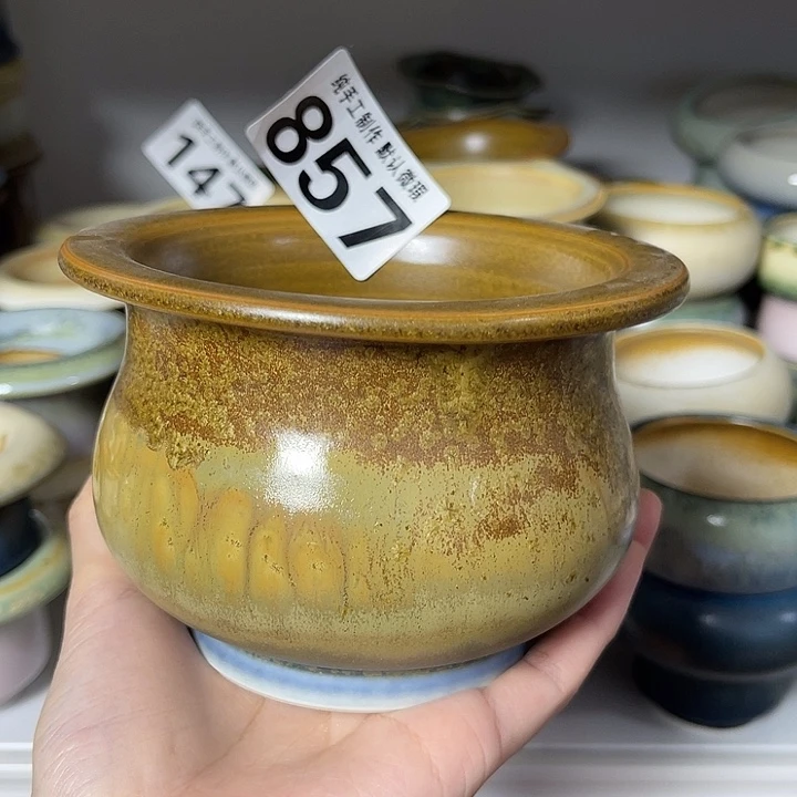 景德镇陶瓷盆 满30包邮 口10 下播福利