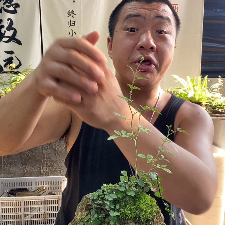 无花朵退款拉黑拉黑76