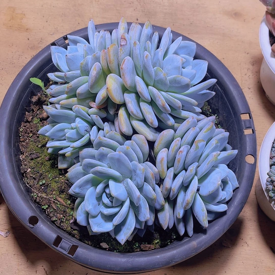 风***@000000000000283