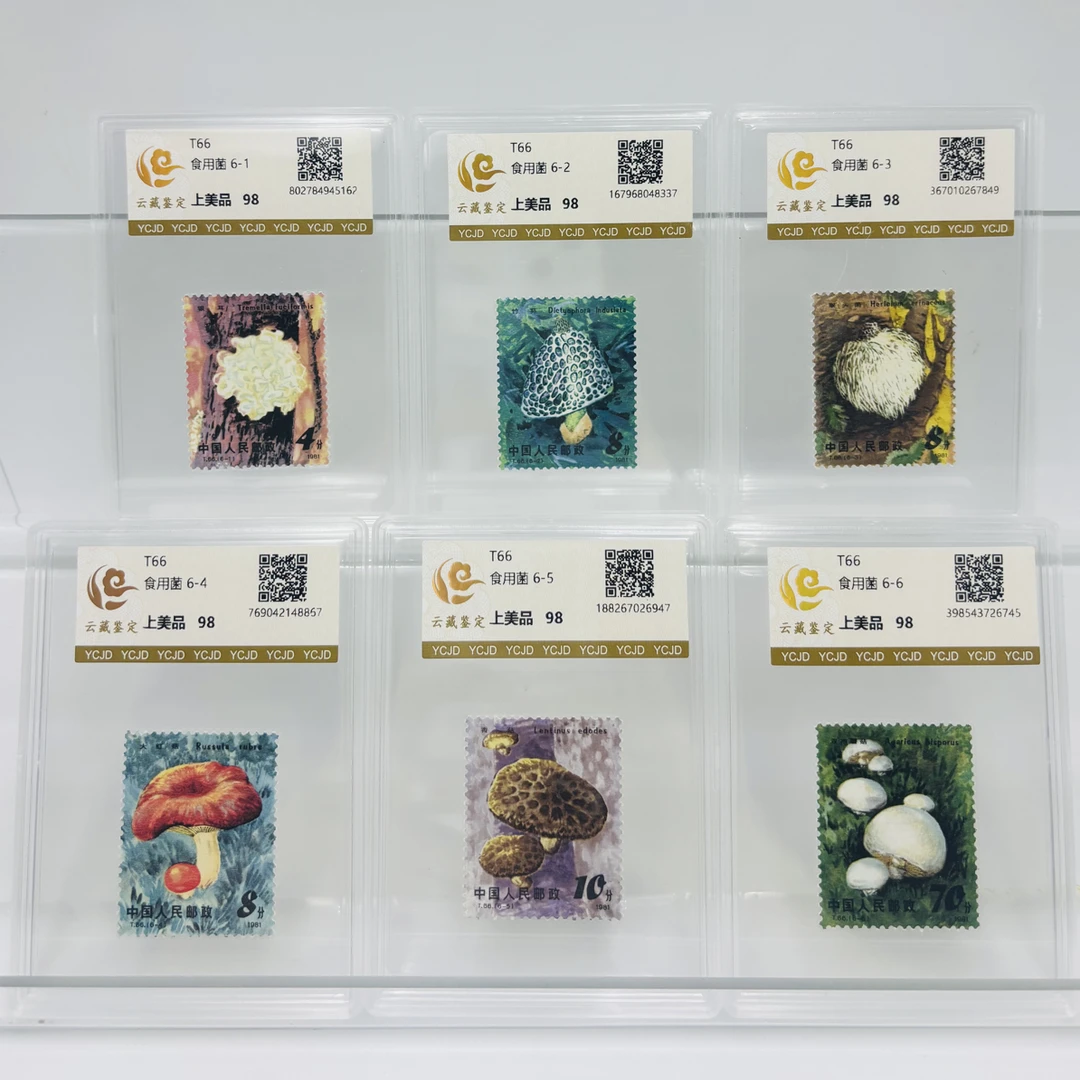 T66食用菌邮票评级邮票