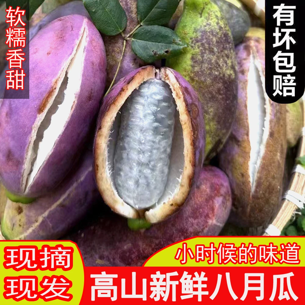 云贵高原当季八月瓜新鲜现摘软糯香甜顺丰包邮