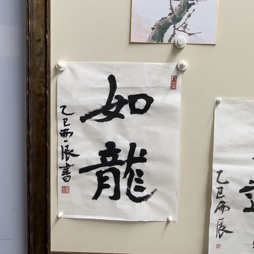 书法党震 书法 如龙