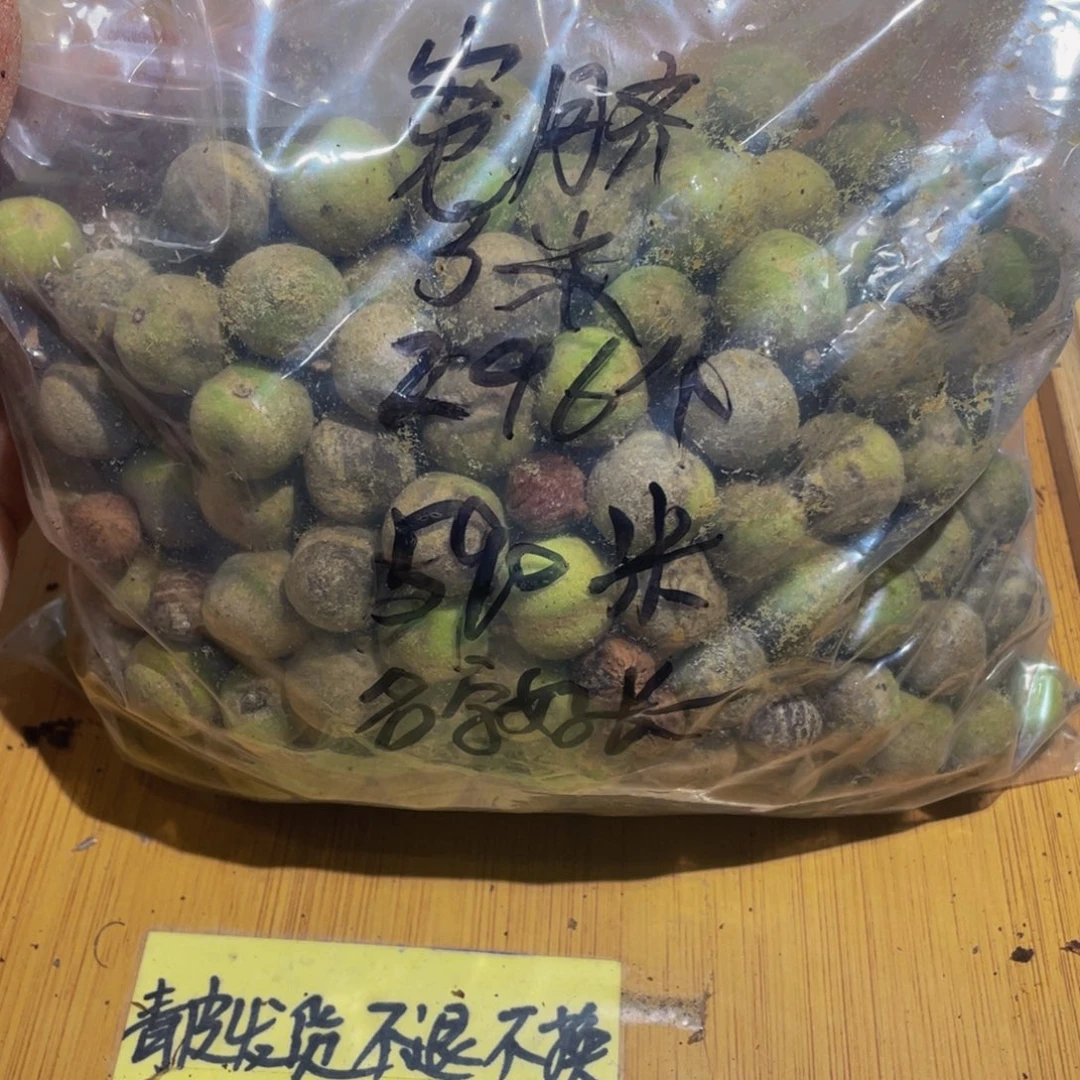 名***长桃核吊坠桃核散子