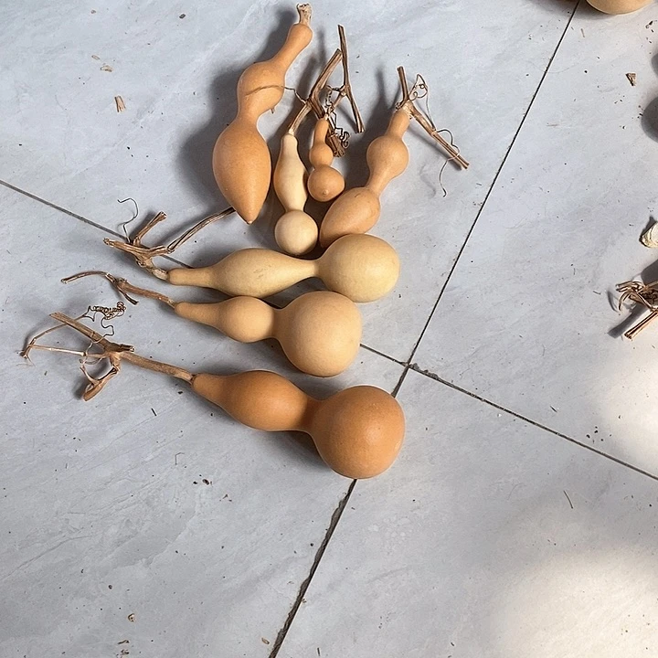 葫芦的颜色很漂亮