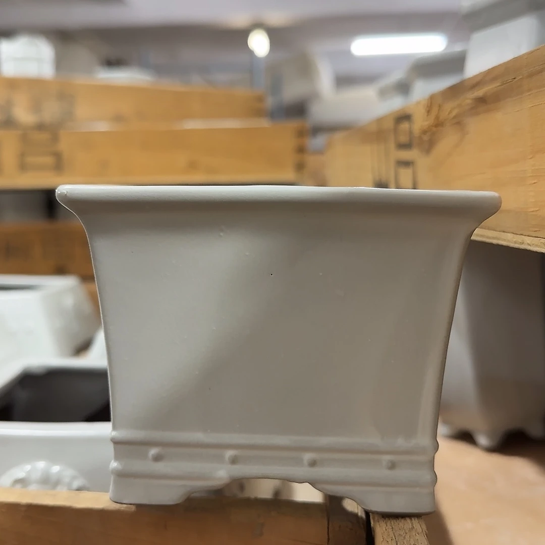 陶瓷花盆特价上新
