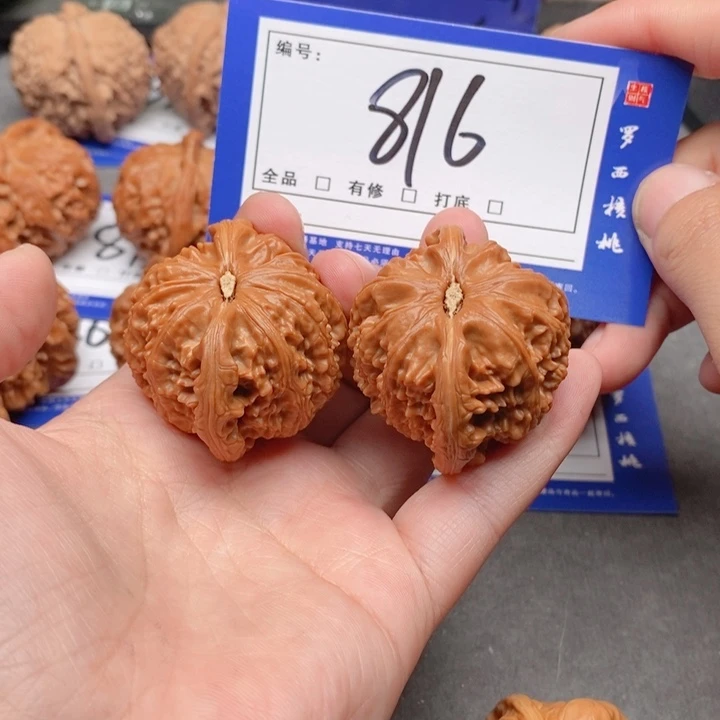 把件桃核40白狮子816号牌