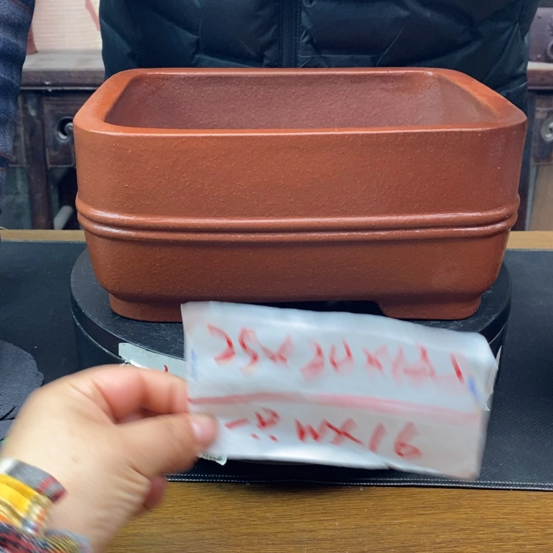 红陶货号一只WX16