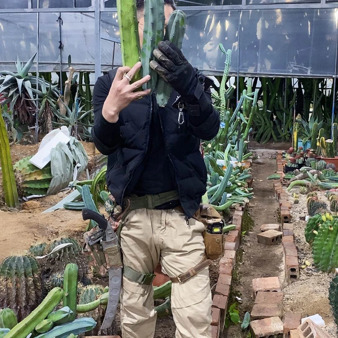 龙神木侧牙高度20/30/40公分（3颗）