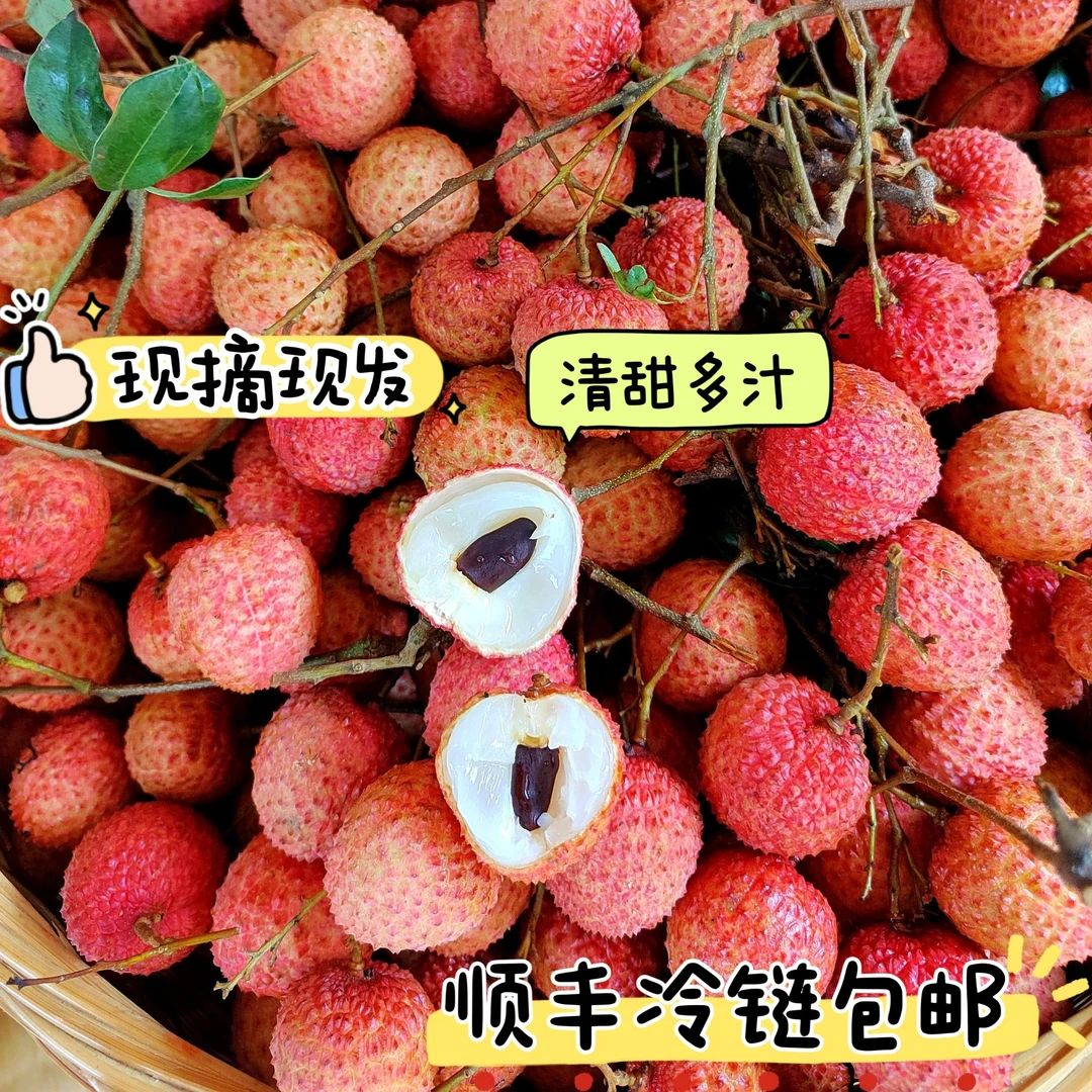 【广东省外】正宗高州桂味老树荔枝肉厚核小清甜冷链多汁现摘现发