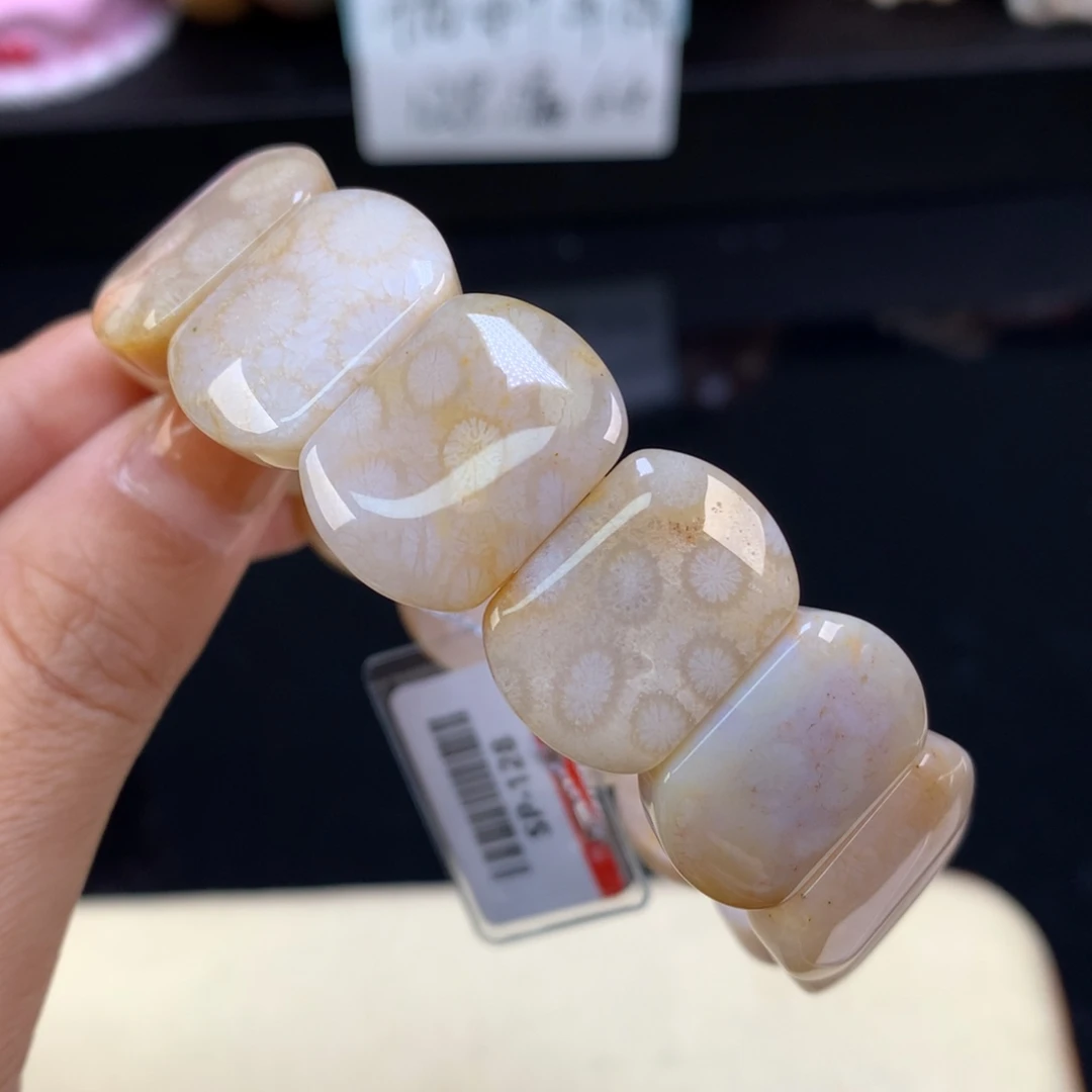 硅化珊瑚（珊瑚玉）未镶嵌颈饰漏价漏价漏价50号