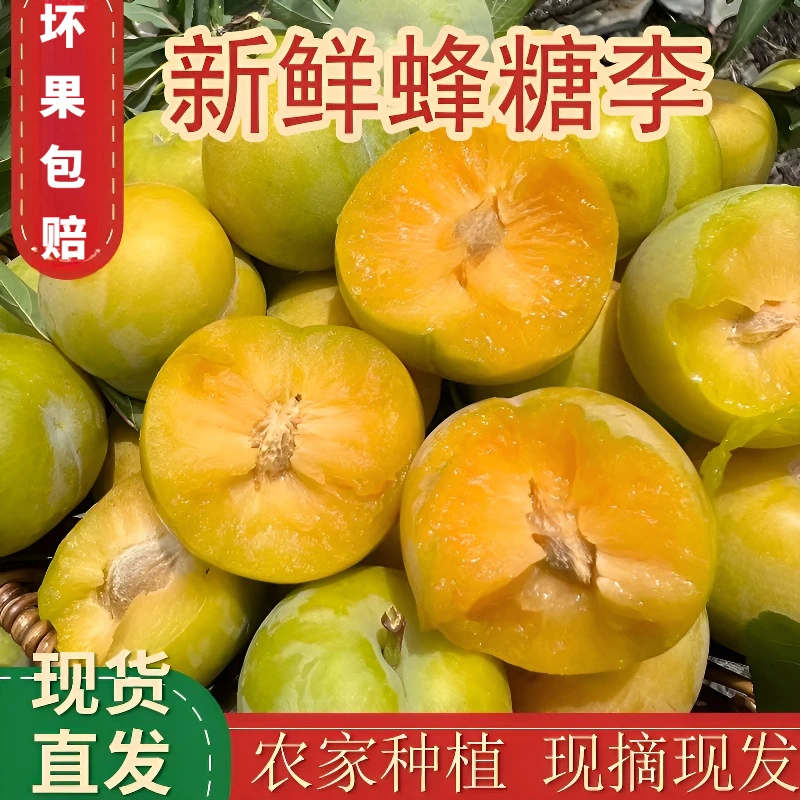 四川蜂糖李高山当季新鲜现摘脆甜大果正宗脱骨李子3/5斤整箱包邮