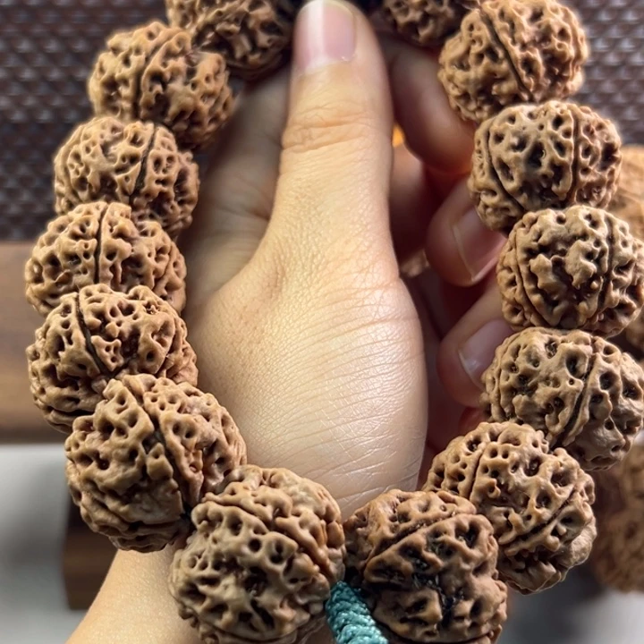 进***进吊坠金刚菩提原生态五瓣粗筋梅花双龙大金刚