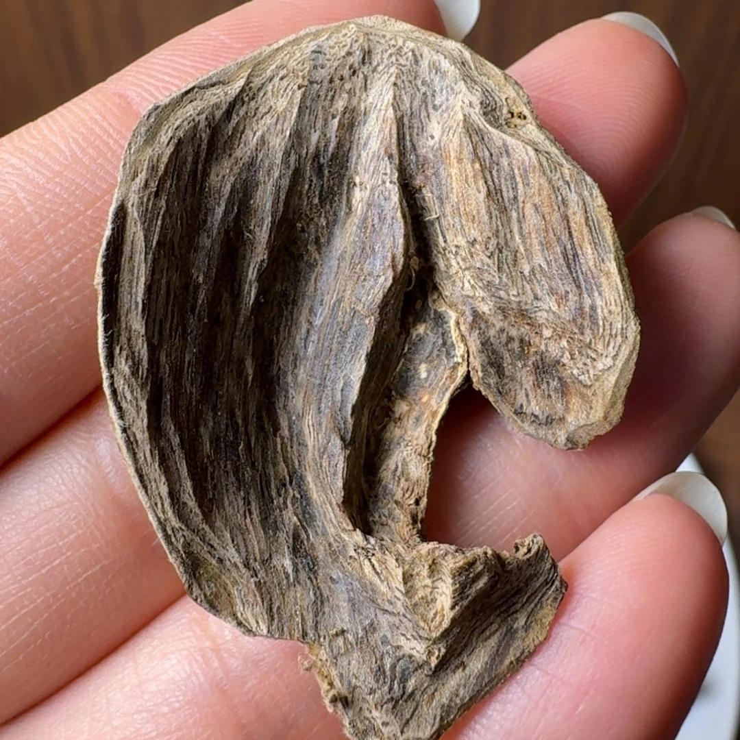 沉香碎屑沉香海南沉水虎斑棋2克