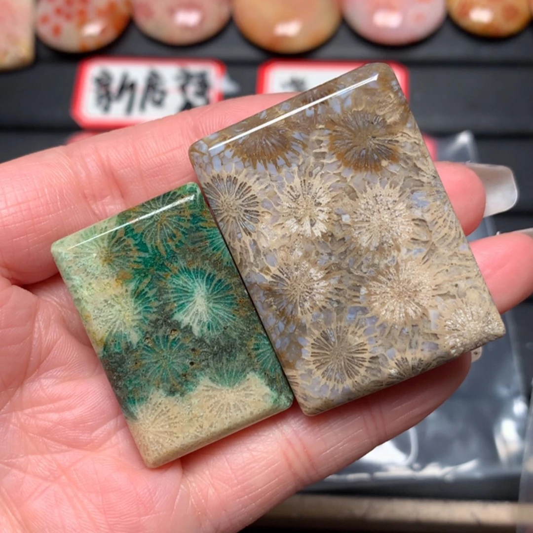 【闪购商品】硅化玉颈饰未镶嵌钓**主