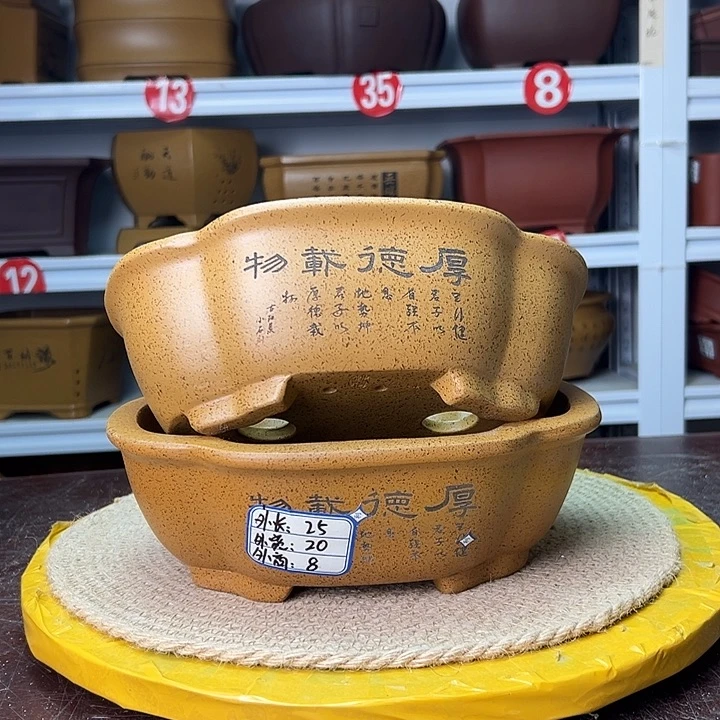 花盆紫砂蛇年大吉