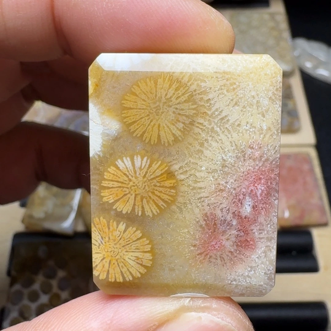 硅化玉未镶嵌纯天然色有机玉石保真色