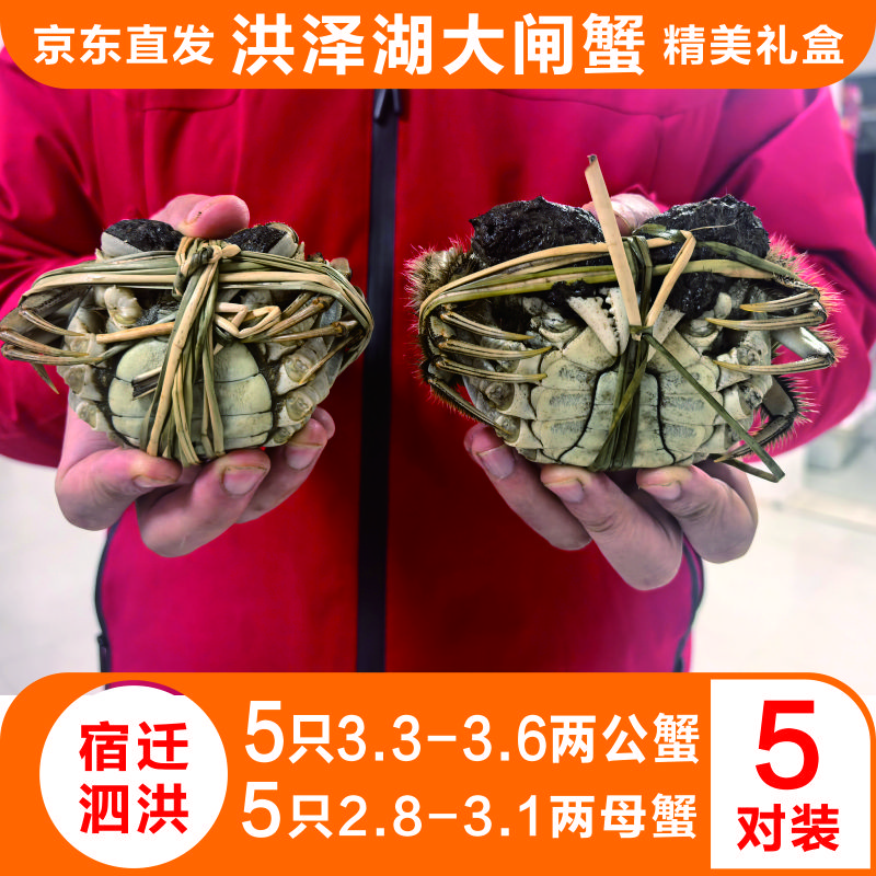 【活蟹】洪泽湖大闸蟹公母组合公3.3-3.6两 母2.8-3.1两 5对 礼盒装