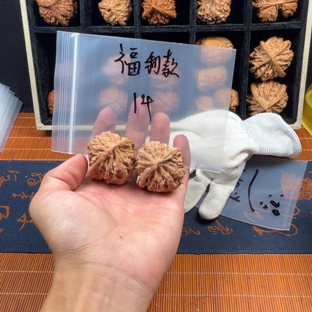 核桃哈哈哈哈哈哈哈哈哈哈哈哈