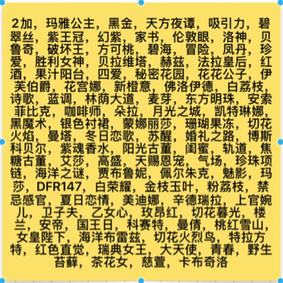 100~150号50月季原盆原土多季开花阳露