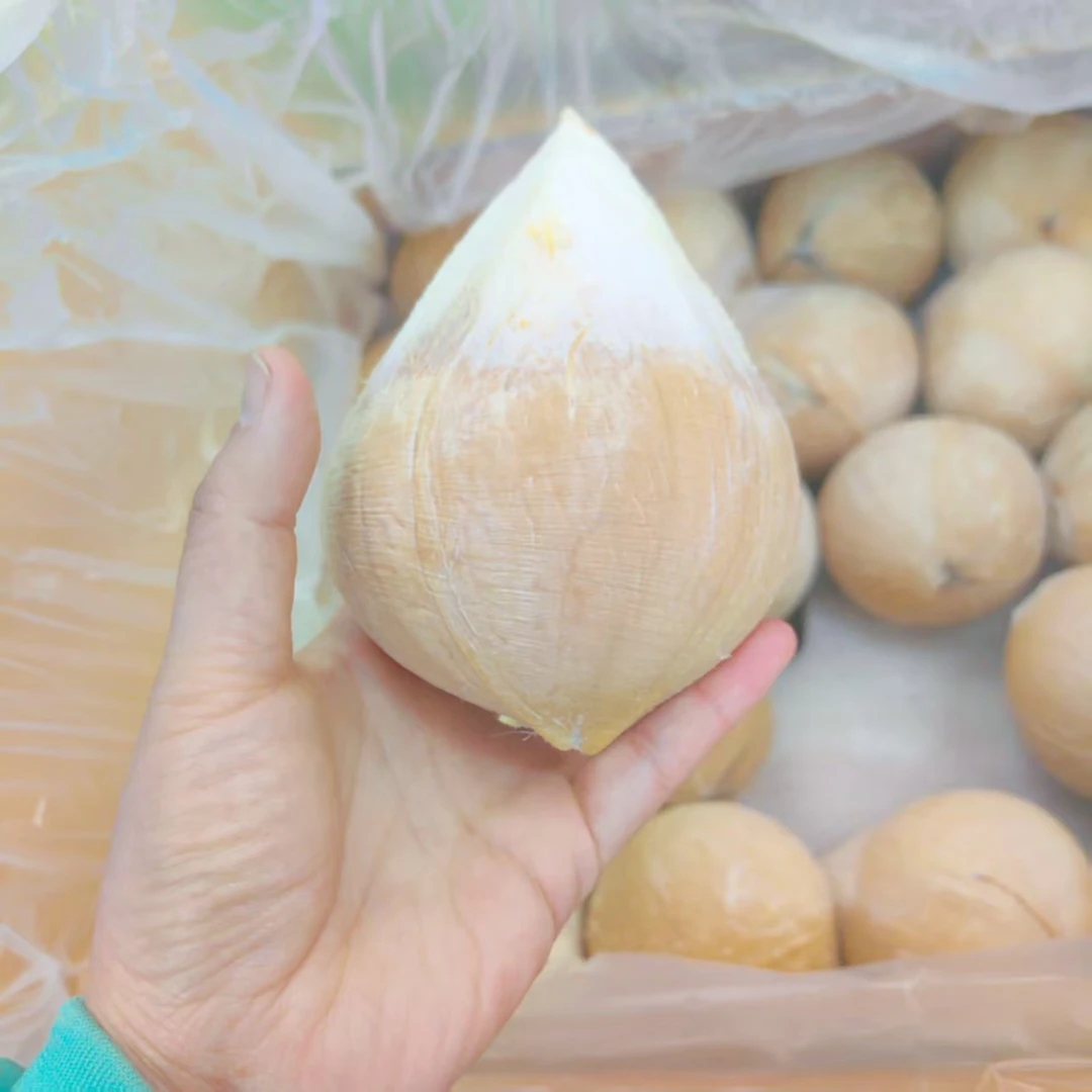 小奶椰一个，椰皇不是椰青g