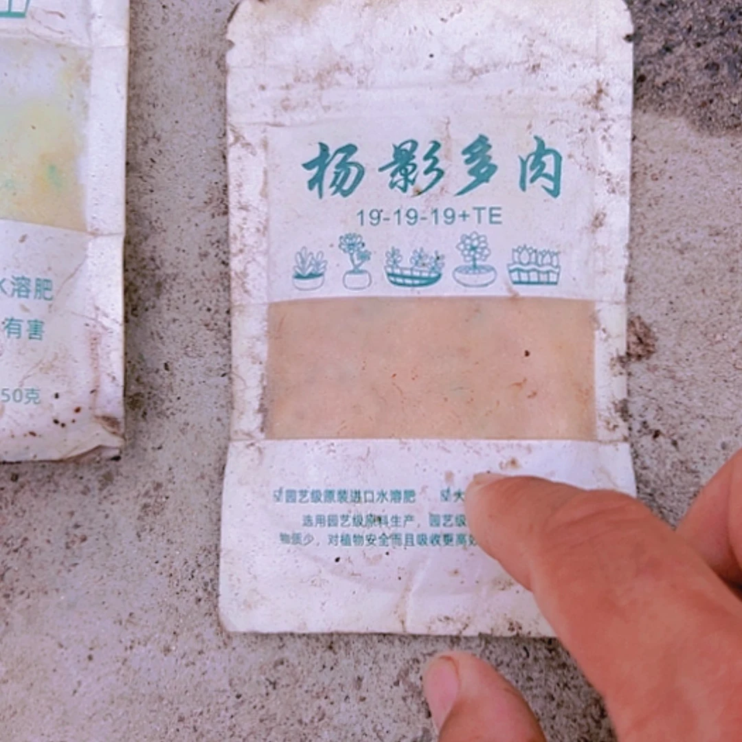 【闪购商品】实验包2包