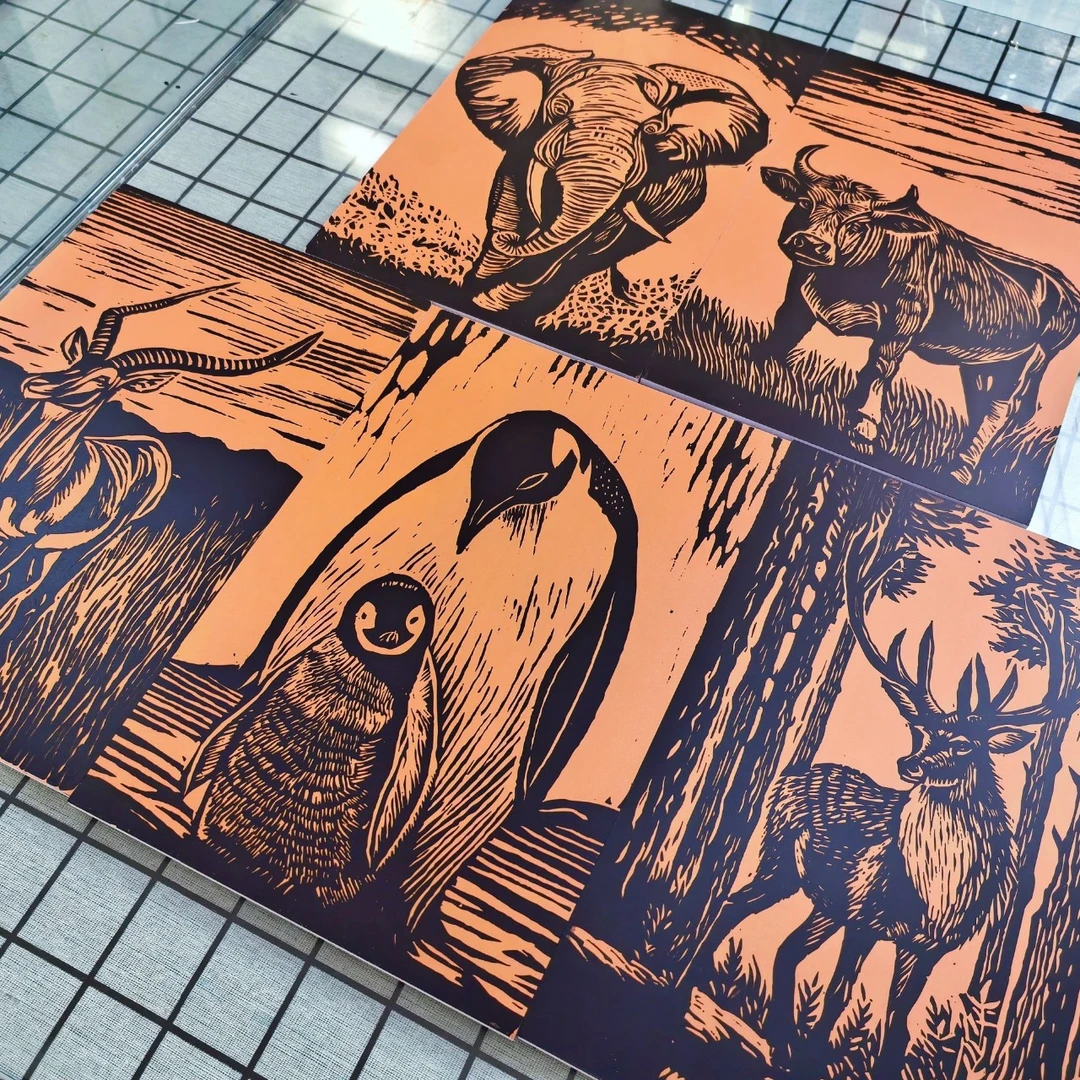 A4动物带图案雪弗板套装5块