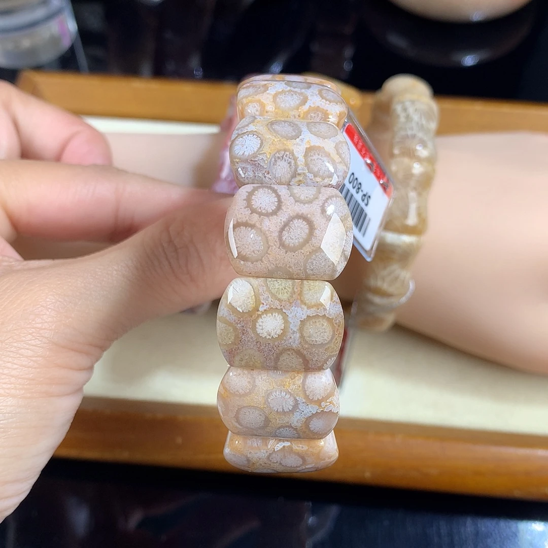吊坠(赠链)未镶嵌硅化珊瑚（珊瑚玉）19号手排