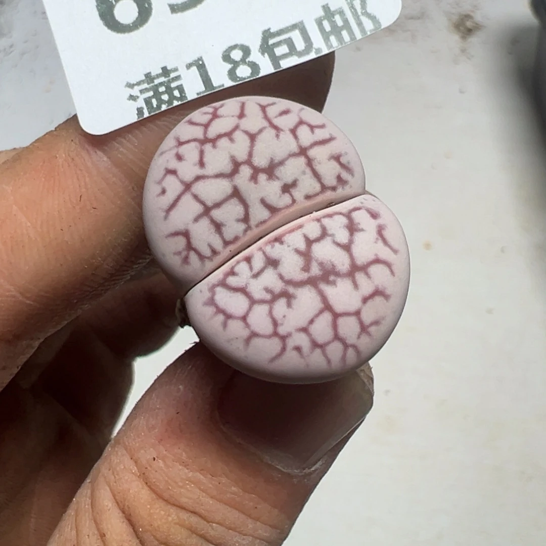 【闪购商品】 656。