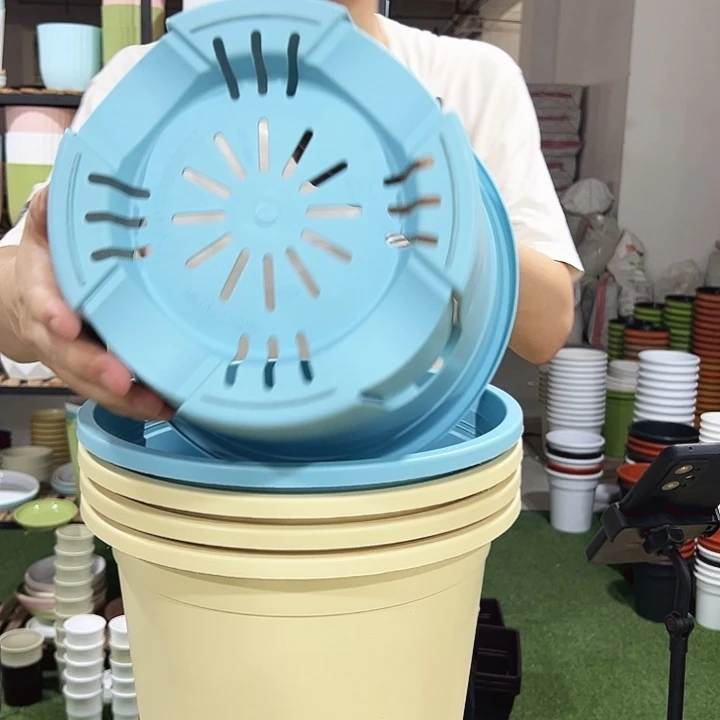 圆控口29.5高28混色5只无托