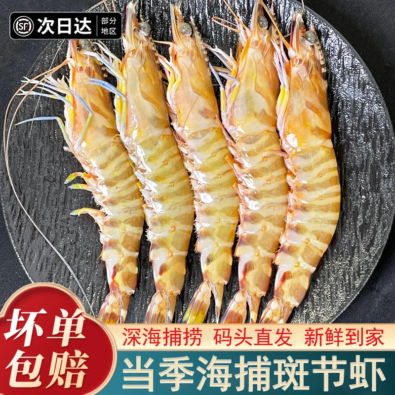 博贺港纯野生斑节虾花虾速冻鲜虾竹节虾顺丰冷链发货