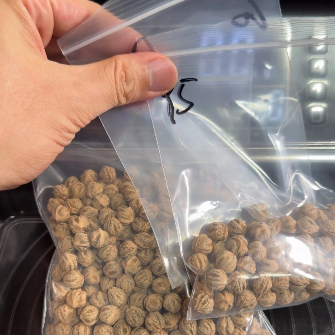 往***6柏香籽/百香籽吊坠